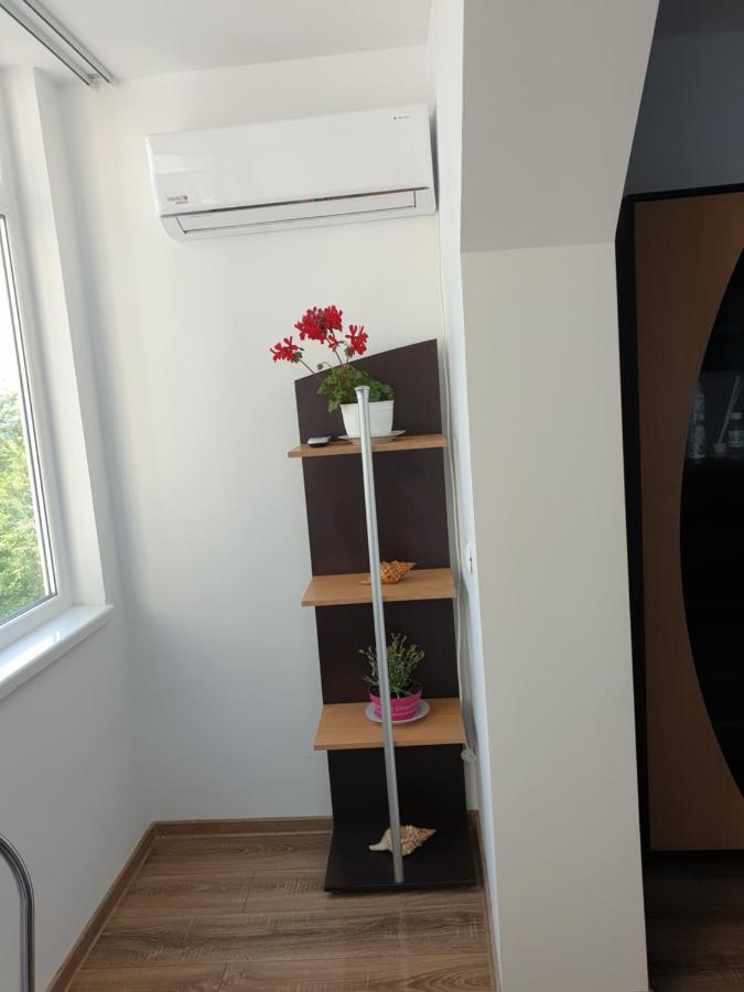 Apartament Diana Jurilovca Extérieur photo